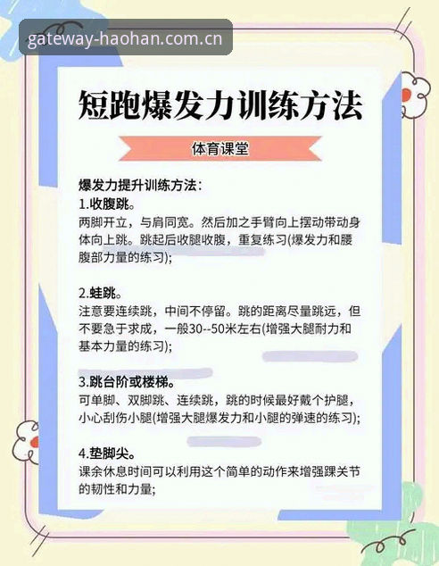 HH体育最新版本更新使用技巧深度评测：从安全机制到实战操作的全面分析